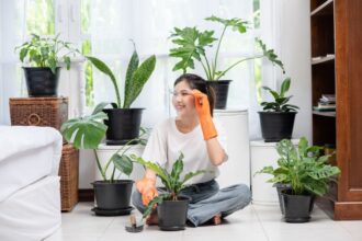 Tips for Moving Plants